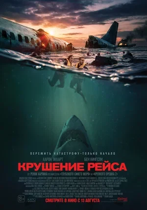 Постер Крушение рейса